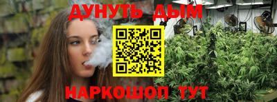 гашик Гусь-Хрустальный